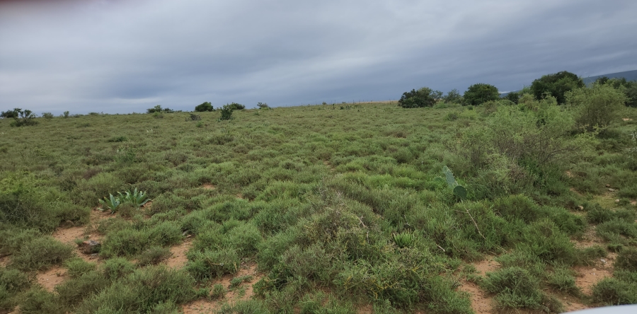 Commercial Property for Sale in Somerset East Rural Eastern Cape